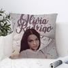 Singer OOlivias Cool RRodrigos Decorative Room Aesthetics Pillow Case Home Decor Bedroom Sofa Bed Couch Pillow Cover x