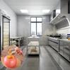 Easy-Grip Stainless Steel Core Remover-Apple & Pear Pitting Tool-Home & Restaurant Use