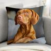 1 Vizsla Dog Plush Pillowcase - 45.72x45.72 Cm Double-Sided Brown/Beige Vizsla Puppy Print, Soft Short Plush Sofa Bed Cover, Machine Washable Zippered