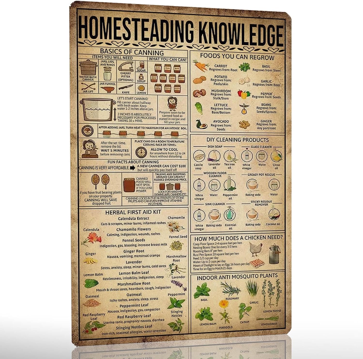Tin Metal Sign Rustic Kitchen Homesteading Knowledge Decorative Sign 20x30cm(7.8x11.8inch)