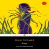 Cane by Jean Toomer Paperback Book 9780143133674