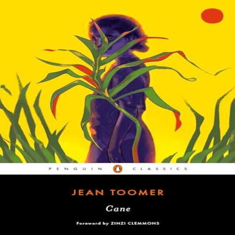 Cane by Jean Toomer Paperback Book 9780143133674