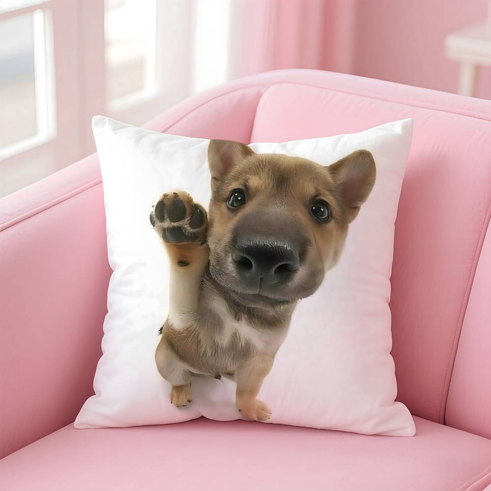 Kwaii katt hund Kuddfodral Kvalsterfritt Kudde Osynlig dragkedja Silkeslen kort plysch Soffkuddfodral