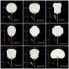 Blank Rice Paper Fan Round Fan Paper Hand Fan Wedding Fan Decorative Painting Fan Blank Fan Kids