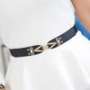 Spring And Summer Women'S Thin Dress With Elastic Buckle Waist Seal Women'S Fashion Accessories, Thin Elastic Belt Three Sizes