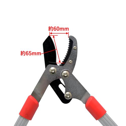 Takagi TAKAGI Aluminum Handle Branch Cutting Scissors Anvil Type MS-5