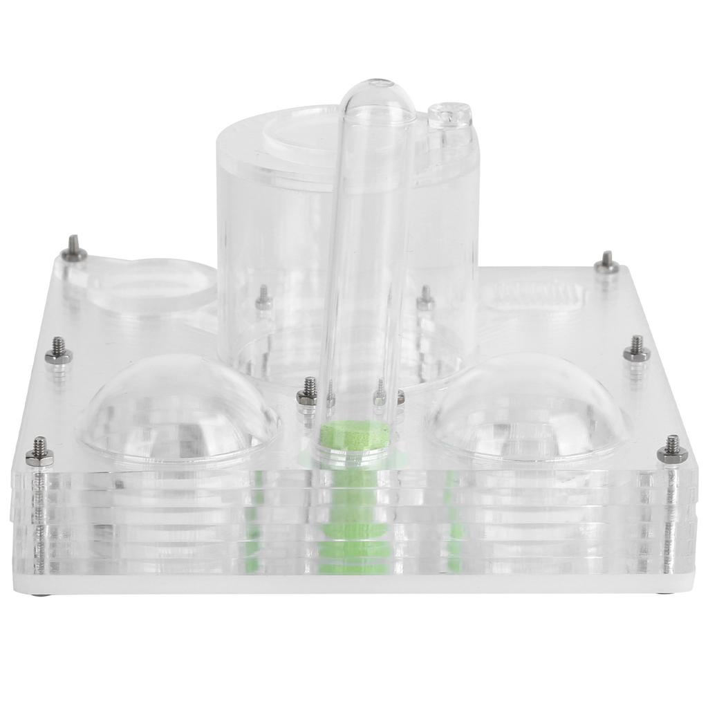 Acrylic Ant Breeding Box Transparent Watching Feeding Case Ants House Toy for Children