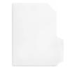 Nakabayashi Clear File Individual Holder Standard 10 Pieces 67294