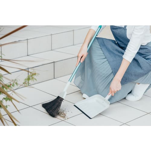 Yamazaki Sangyo Hand Dustpan 2989.jp+ Home Dust A Steel 175642