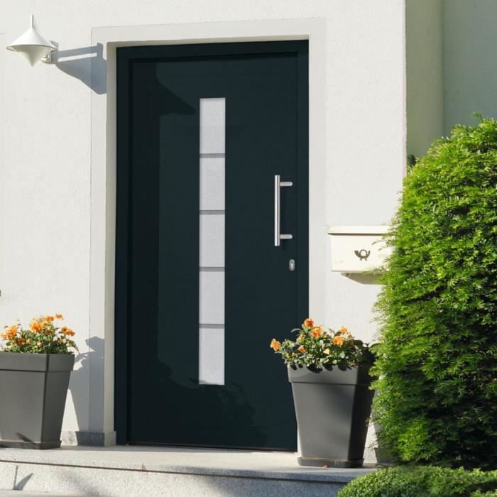 VidaXL Front Door Aluminium and PVC Anthracite 100x210 Cm