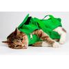 Pet Portable travel Out Bag hospital soft Foldable Cat Backpack Cat Bag Scratching Special Fixed Cat nail injection Bag