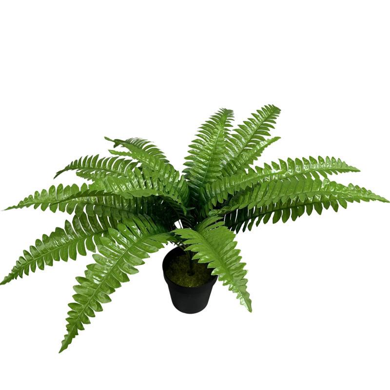 

Simulation Green Plants Big Persian Leaves Green Leaves Fern Plants Bundle Hotel Road Guide Outdoor Grass Greening Scene