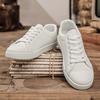 2025 spring men's shoes white shoes versatile casual board shoes men's flat driving shoes student shoes leather surface plain shoes