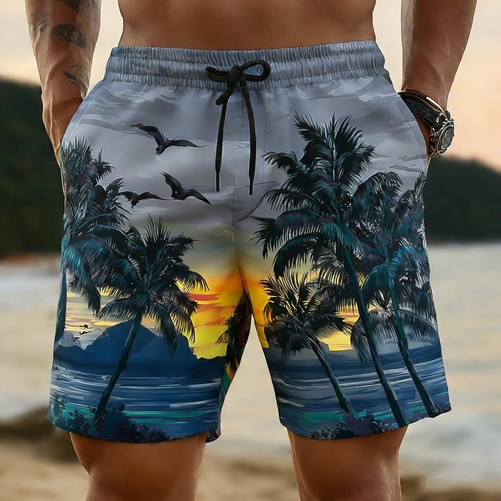 New Summer Hawaiian Men's Quick-Dry Swim Trunks, Sunset Palm Tree 3D Printed Beach Shorts, Elastic Waist Summer Surf Swimwear, C