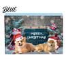 Interactive Pet Toys Toy Advent Calendar 24-Day Christmas Countdown Cat or Dog Set for Pets Safe