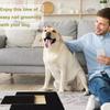 Planche à gratter pour chien en bois Papier de verre Tampon pour couper les ongles Tiroir à friandises Jouet interactif anti-griffes Accessoires pour chien de petite et moyenne taille Jouets pour limer les griffes de chat