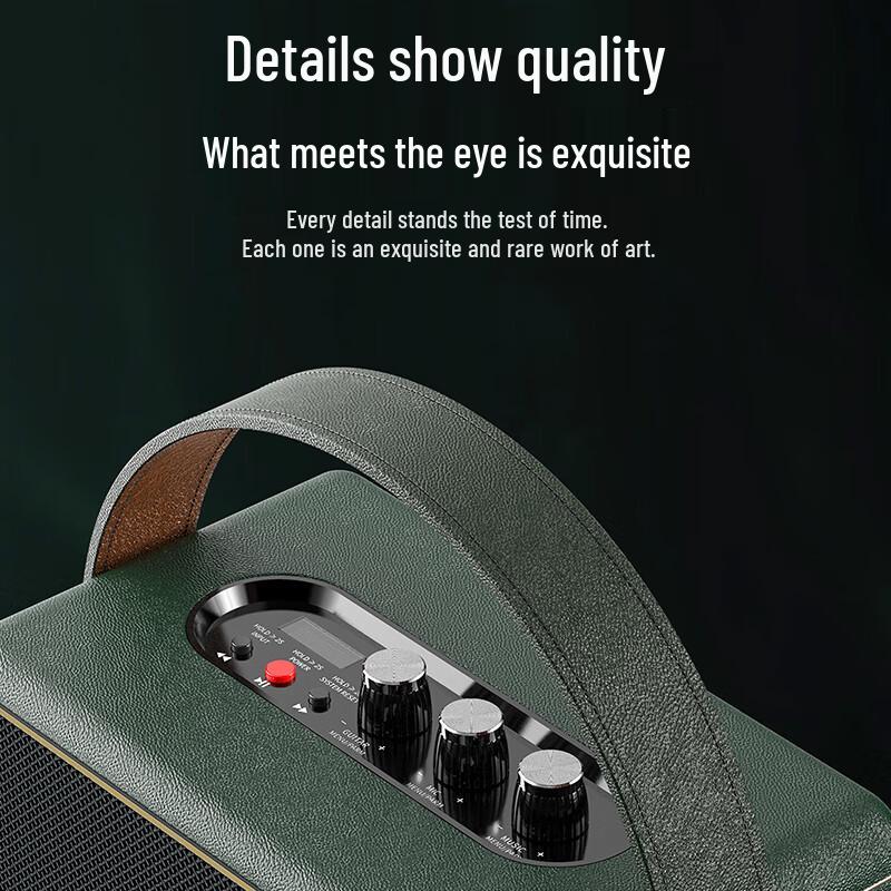 Wanlida M+9212 Outdoor Portable Karaoke Bluetooth Speaker