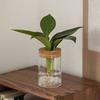 Thickened Flower Vase Transparent Mountain Viewing Bottle Hydroponic Flower Holder  Home