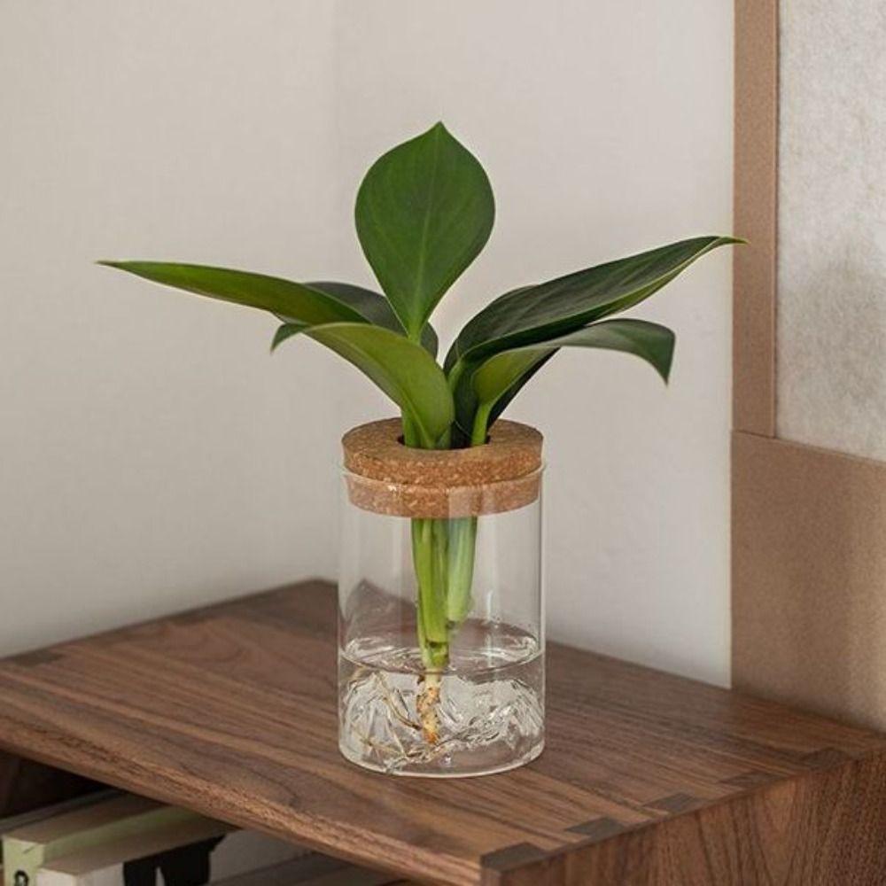 Thickened Flower Vase Transparent Mountain Viewing Bottle Hydroponic Flower Holder  Home
