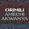 Orimili by Amechi Akwanya Paperback Book 9781035900565