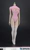 ZYTOYS ZY5027B Beautiful Sexy Female Cat Clothes Set for Action Figure and Head Not [TOYBARJAPAN] 1/6 (Body Included)