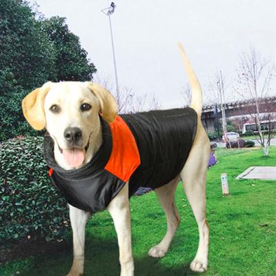 Giyim ve ayakkabı – Köpekler İçin Ceketler ve Montlar