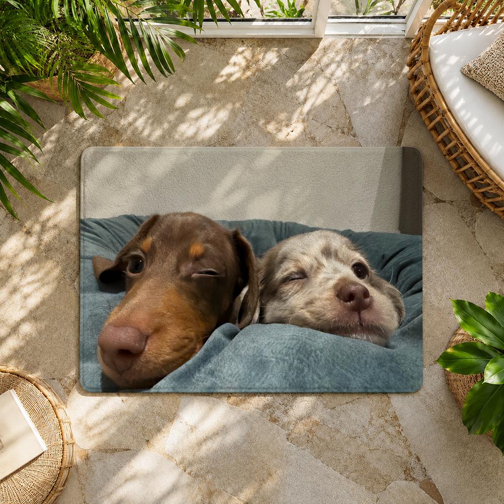 Kwaii Cute Dog Floor Mat Flannel Rug Non Slip Absorbent Soft Washable For Entryway Hallway Bathroom Kitchen Decor