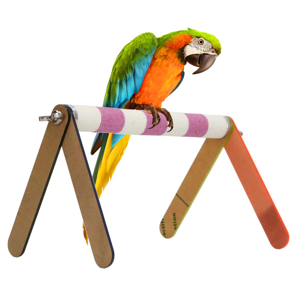 Bird Training Stand Colorful Acrylic Sheet Rough Surfaced Corundum Desktop   Training Stand for  s Pet Birds