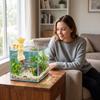 Fixed-point Feeding Pacifier Fish Feeder Wall Hanging Floating Food Tray  Aquarium Accessory