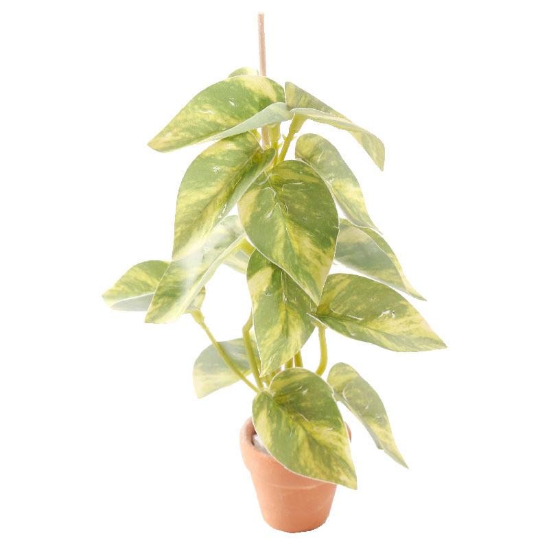 1/12 Dollhouse Simulation Green Plants Bonsai Model Dollhouse Scene Decoration Micro Landscape Garden Bonsai Ornament