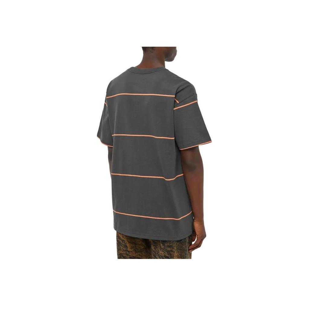 Nike ACG Striped Crew Neck Short Sleeve T-Shirt Men Tops Gray DQ4956-070