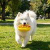 Haustierspielzeug Hotdog-Form mit Geräusch-Spielzeug Langeweile vertreiben Interaktives Hundespielzeug Tragbar Dekompression Welpenspielzeug