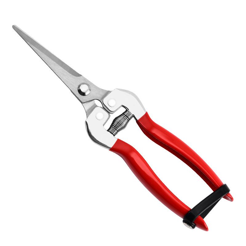 Orchard Fruit Picking Shears Picking Grapes and Melons Scissors Garden Fruit Tree Flower Branch Grafting Gardening Scissors
