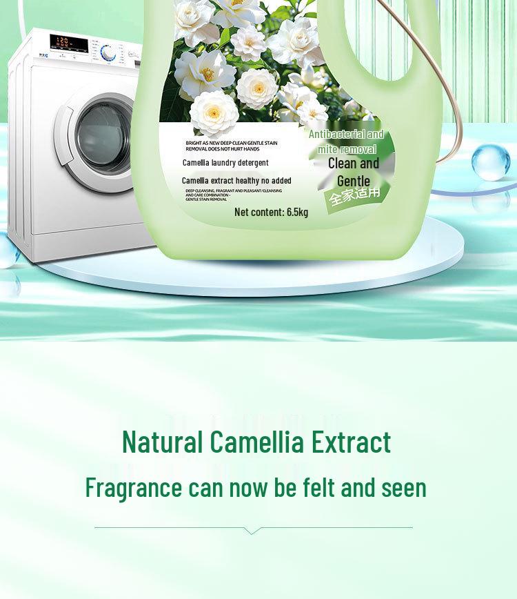13 lb Camellia Fragrance Laundry Detergent - Large Bottle for Long-lasting Home Use and Effective Stain Removal