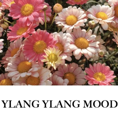 BIBIANG Perfumowana mgiełka do włosów i ciała 100ml