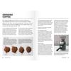 How To Make The Best Coffee At Home Worldleading Coffee Expert and Bestselling Author of The