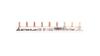 Current Busbar Type PIN 3P 10mm2 63A 9 Pins IZS10/3F/9 45.219