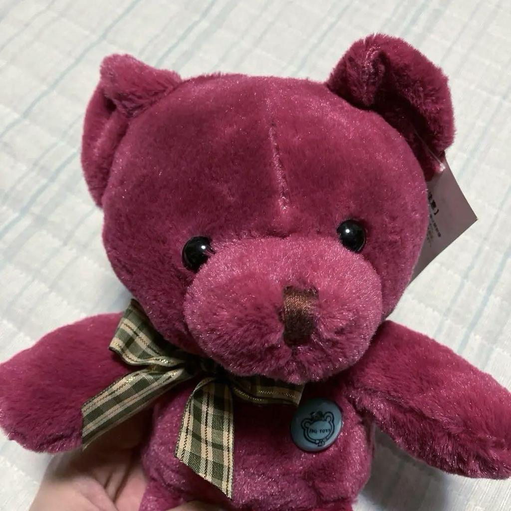 [USED] Rare Tateshina Teddy Bear Museum Red Teddy Bear