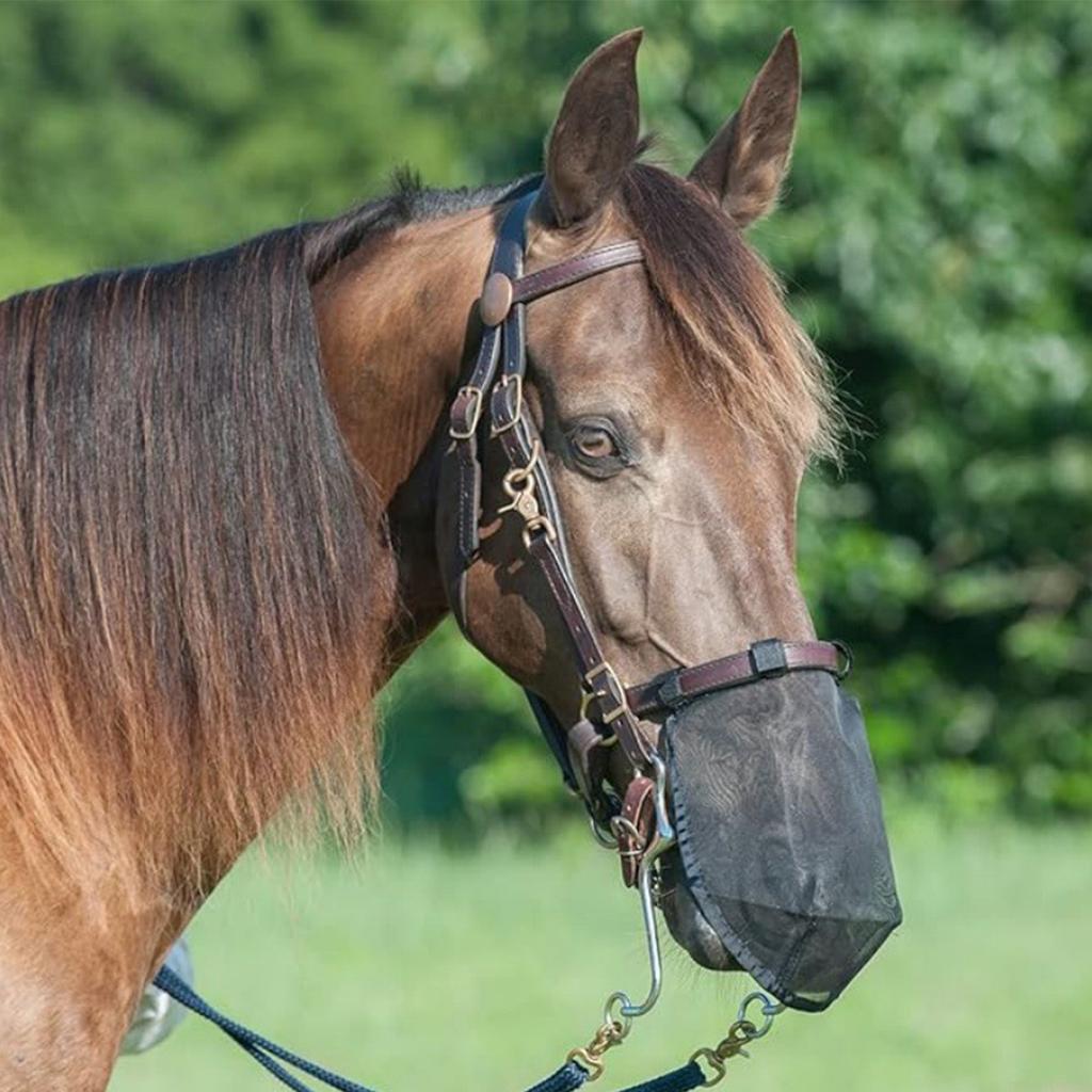 Horse Face Cover with Fine Mesh Screen Summer Stretch Protective Cover Protection Comfortable for Home Farm
