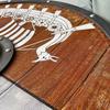 Handcrafted Viking Shield Wall Decor Norse Longship Art Home decor