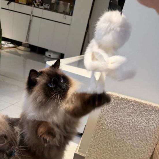 Giocattolo Interattivo per Gatti con Pelliccia Morbida Design Leggero Forma di Polpo Giocattolo per Animali Domestici per Far Spendere Energia