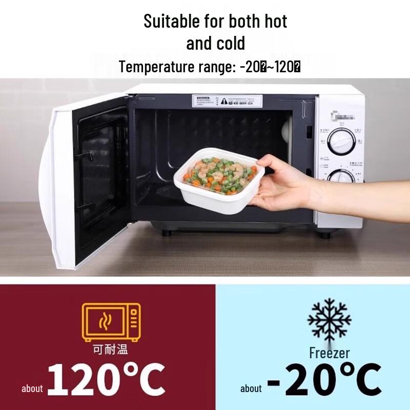 Einweg-Lebensmittelbehälter mit Deckel