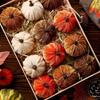 Pumpkin Ornament Thanksgiving Mini Pumpkin Tree Pendants 12 Pieces Vibrant Decoration Festival Prop for Dormitory Mantelpiece