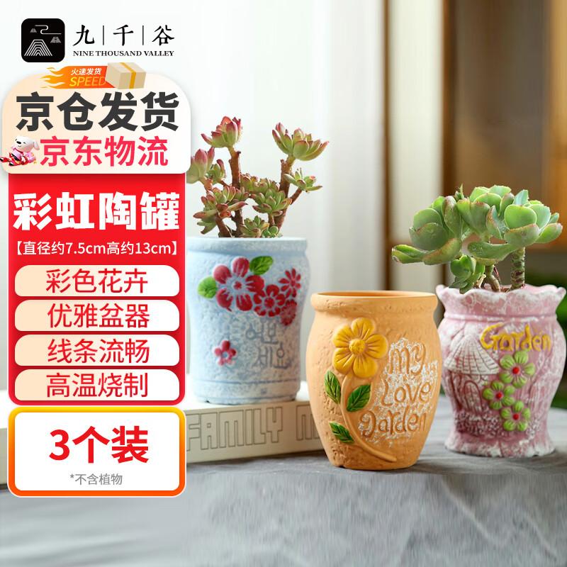 Керамические цветочные горшки Jiuqiangu