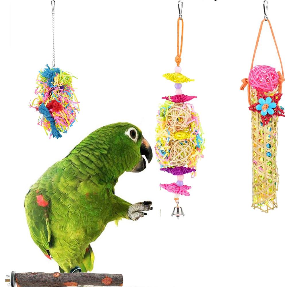 macaw supplies