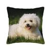 Cute Bichon Frise Pillow Cover  Comfy Cushion Cover Funny Pillow Case For Sofa Home Decor