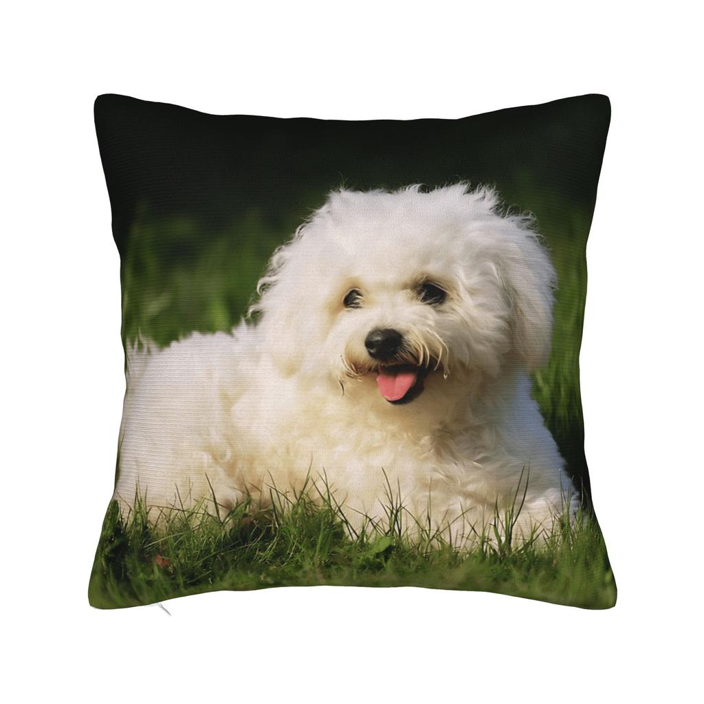 Cute Bichon Frise Pillow Cover Comfy Cushion Cover Funny Pillow Case For Sofa Home Decor