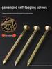 Gypsum Board Expansion Screw Set: Self-Tapping Plastic Plug & Butterfly Anchor