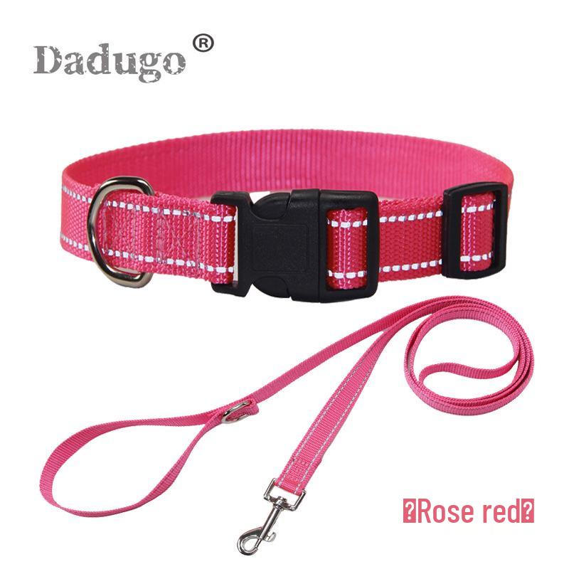 Reflective Pet Collar & Leash Set for Medium & Large Dogs and Cats