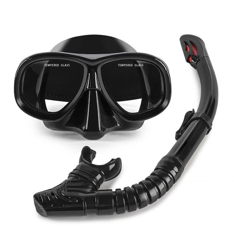 WAVE Professional Full Dry Snorkel & Dive Mask Set
